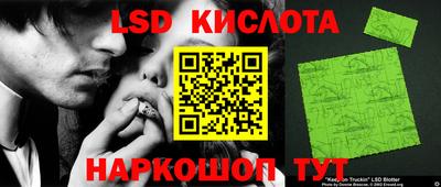 шишки Партизанск