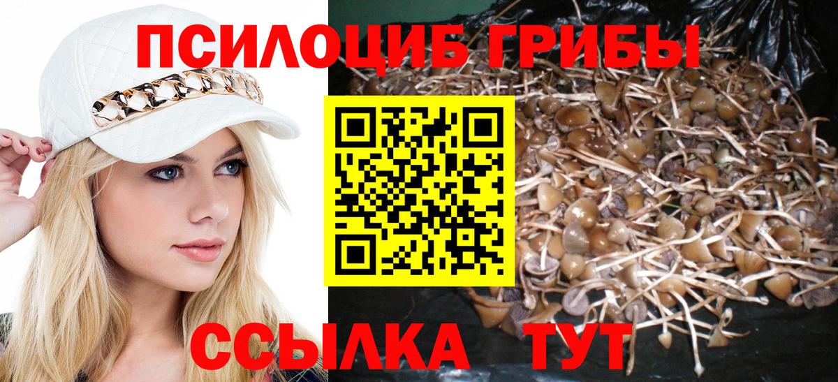 Рыбинск  Галлюциногенные грибы MAGIC MUSHROOMS  Вход с VPN  Галлюциногенные грибы GOLDEN TEACHER 